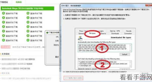 轻松搞定!IDM 下载器取消下载信息提示框秘籍