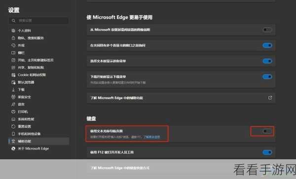 轻松掌握,谷歌浏览器文本光标浏览网页秘籍