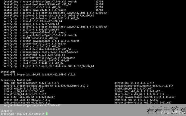 JDK 命令,能否跨界应用于其他语言?