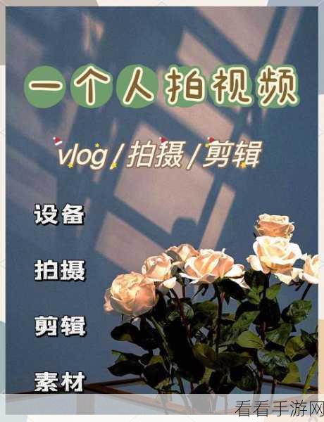轻松搞定！VSDC Video Editor 视频画面翻转秘籍