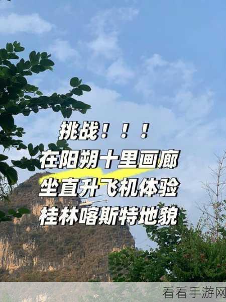 翱翔天际，军用直升机画廊游戏深度解析与下载指南
