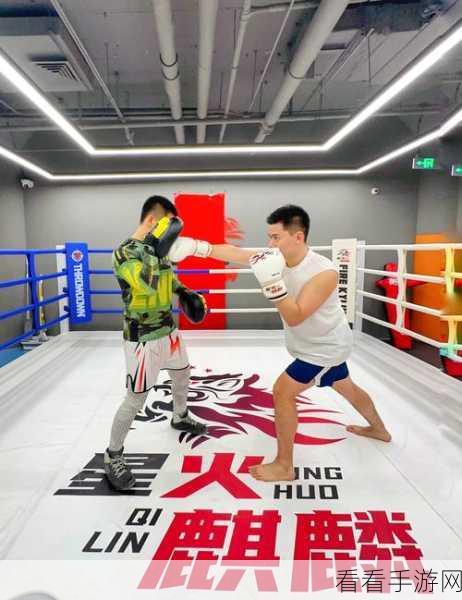 mma格斗冲突最新版下载-超棒的格斗类游戏