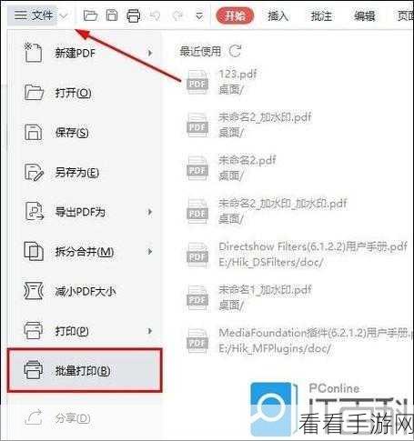 WPS PDF 输出图片型PDF 秘籍，电脑版防篡改教程