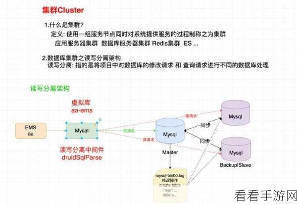 Linux 系统中 MySQL 数据导入导出的秘籍指南