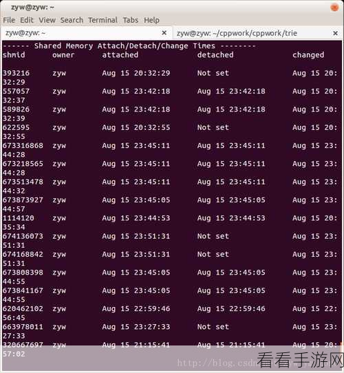 掌握 Linux ipcs 命令，轻松调整共享内存大小秘籍