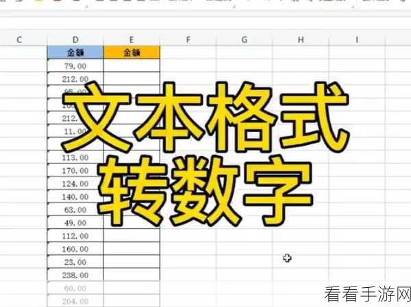 轻松搞定！WPS 表格中文本转数字的秘籍