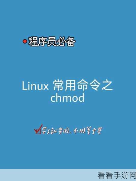 掌握 Linux 中 chmod 命令的正确用法，远离错误困扰