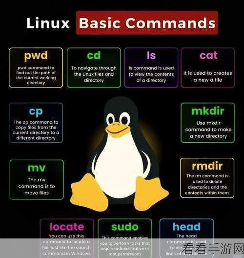 探索 Linux 命令 install 的神奇功能