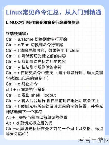 深入解析，chmod Linux 命令的神奇力量