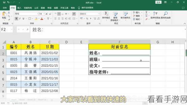 Excel 表格小数分隔符自定义秘籍大公开