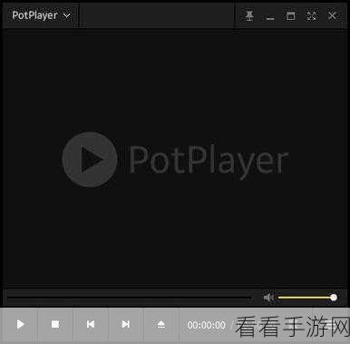 一键获取 PotPlayer 播放器，下载地址全攻略