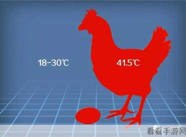 鸡蛋大亨火爆上线！打造你的养鸡帝国，休闲竞技两不误