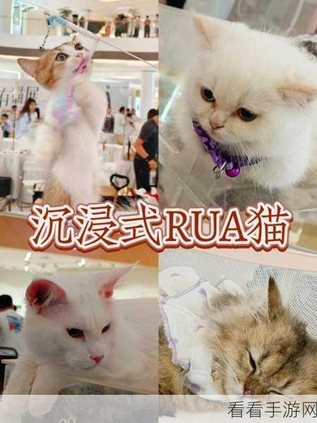 猫块难题风靡来袭，挑战你的滑块智慧，赢取丰厚奖励！