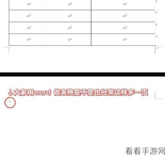 轻松搞定 Word 表格大小调整难题！电脑版秘籍在此