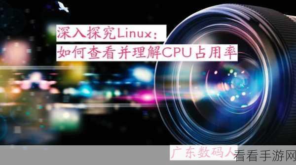 深入探究，Linux 命令 Dowent 的神秘用途