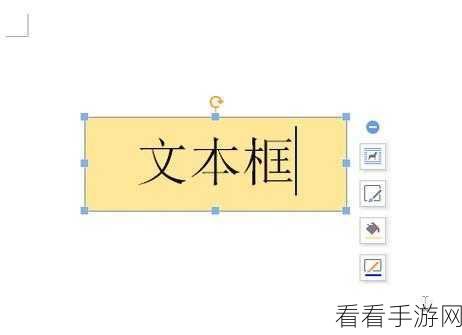 轻松搞定 WPS 文本框边框颜色设置秘籍