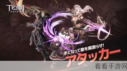 tera m手游下载-韩国风格的rpg大型3d类即时魔幻手游