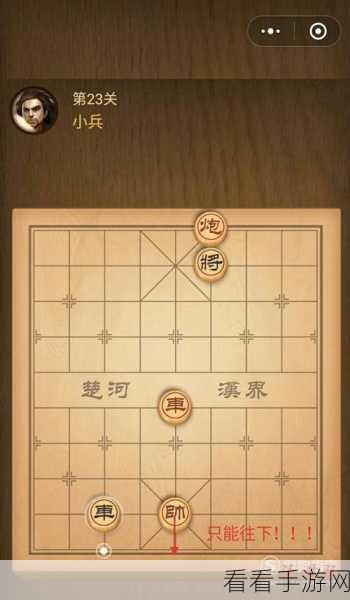 象棋对决手机版，智谋比拼，指尖上的楚汉争霸