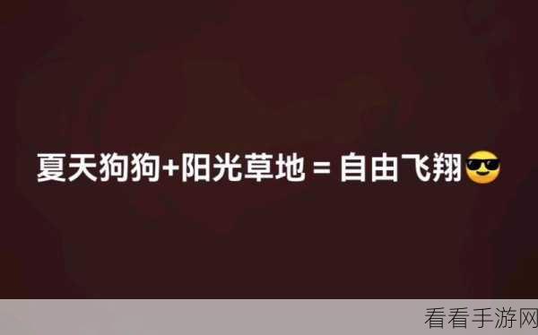 即便如此也要向往阳光汉化版下载-文字类型的冒险解谜手游