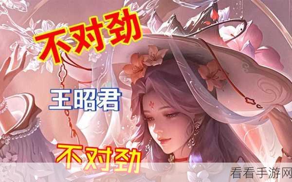 王者荣耀 9 周年，王昭君映山客皮肤惊艳亮相，精彩内容全解析