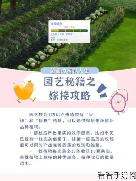 模拟人生 3 秘籍大揭秘，技能全满攻略