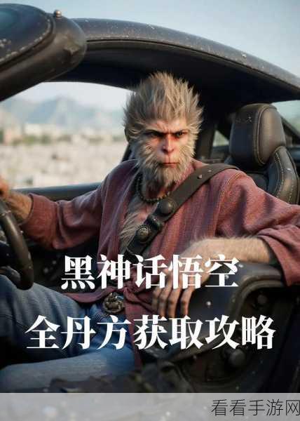 黑神话悟空，避凶药丹方获取秘籍大公开