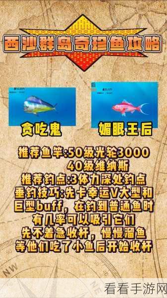 欢乐钓鱼大师，钓取千分鱼的终极秘籍