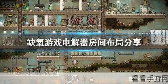 深度解析，缺氧电解器的神奇作用与实战运用