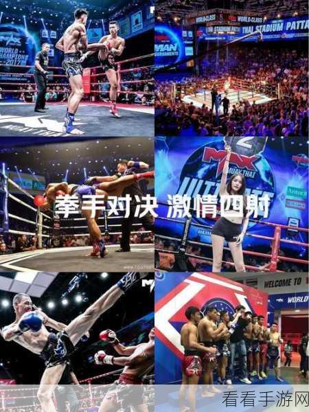拳力全开！我拳击贼棒最新版震撼来袭，体验真实拳击对决