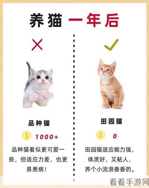 萌宠养成新风尚，养猫计划红包版来袭，合成小猫赢大奖！