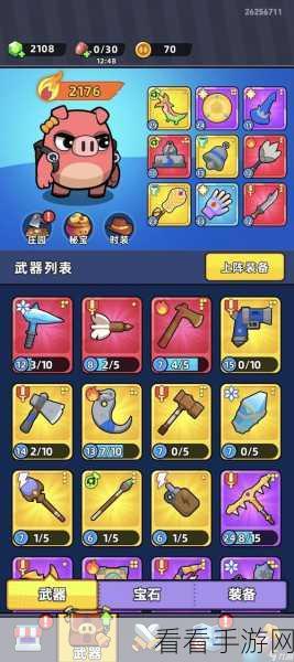 口袋宠物猪萌新起步秘籍，初期畅玩指南