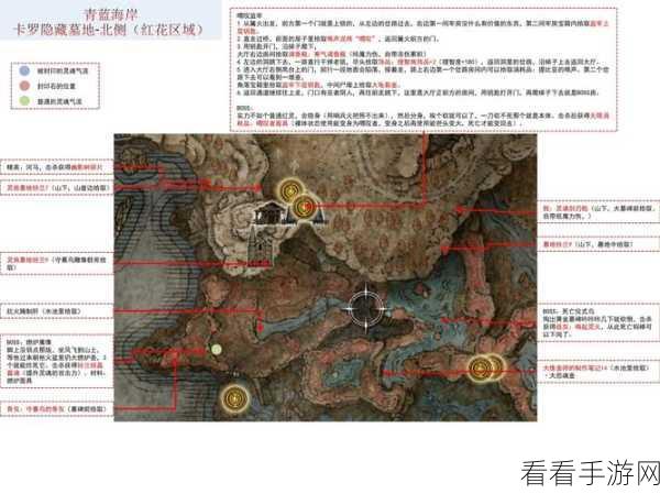 艾尔登法环，潜雾猛禽的神秘力量与强度全解析