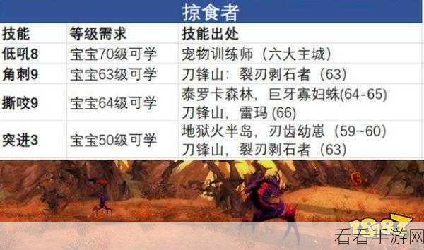 魔兽世界外域猎人的顶级装备与武器秘籍