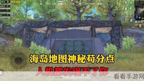 和平精英黄金岛，地道探秘与绝佳苟分秘籍
