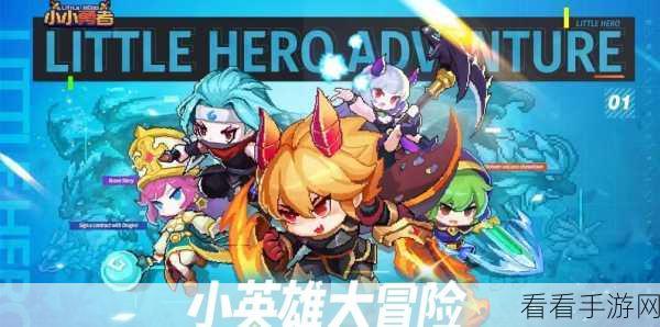 小小勇者，精灵养成秘籍大公开