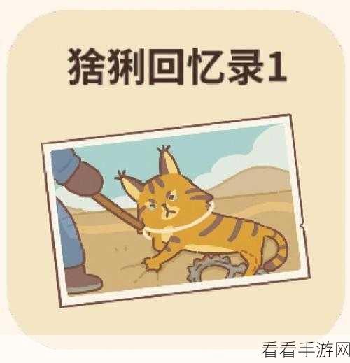 动物餐厅猞猁回忆录 1，探秘回忆信的通关秘籍