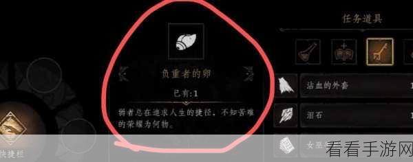 探秘帕斯卡契约，负重者之卵的神秘用途大揭秘
