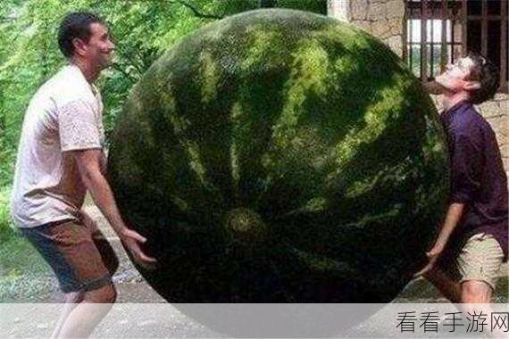 探秘合成大西瓜魔改版，畅玩入口与惊喜连连