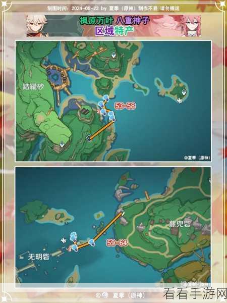 原神海灵芝采集秘籍，全面路线与采集点大揭秘