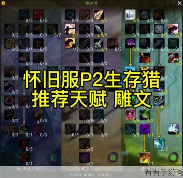 魔兽世界怀旧服，暗影猎豹毛皮的神秘用途大揭秘