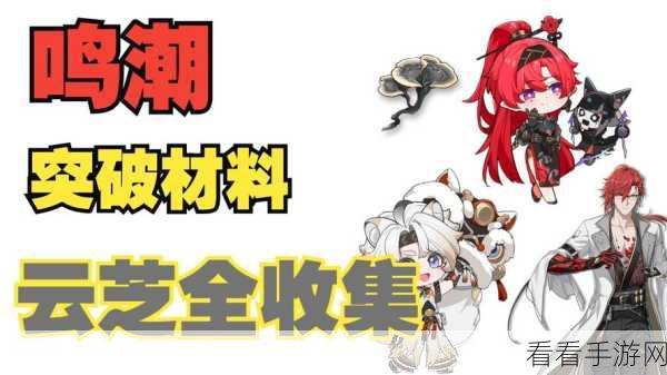 鸣潮吟霖突破必备材料大揭秘