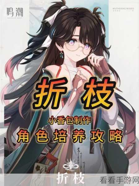 鸣潮吟霖突破必备材料大揭秘