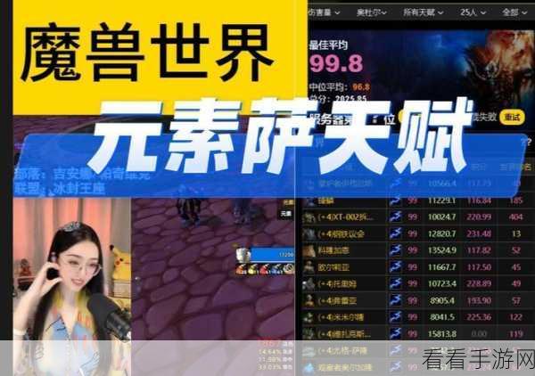 魔兽世界 WLK，元素萨属性攻略大揭秘