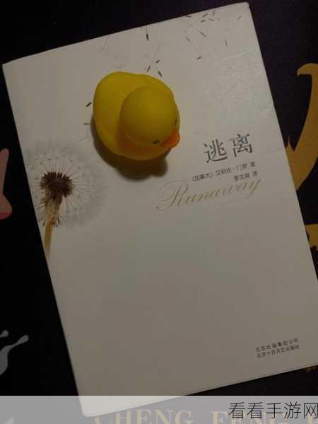 小生活，逃离愚人岛的秘籍指南