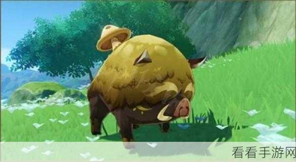 原神小蕈猪位置全揭秘，不容错过！