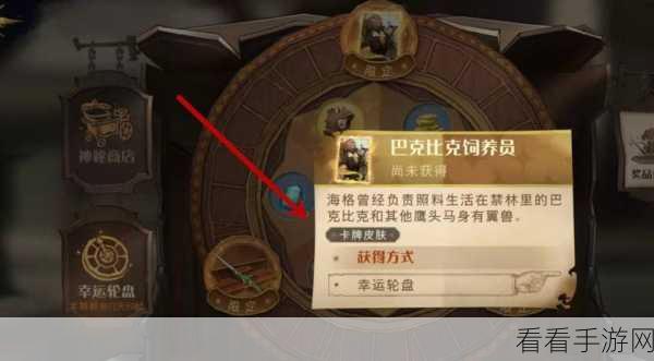 魔法觉醒秘籍，巴克比克羽毛画像获取全攻略