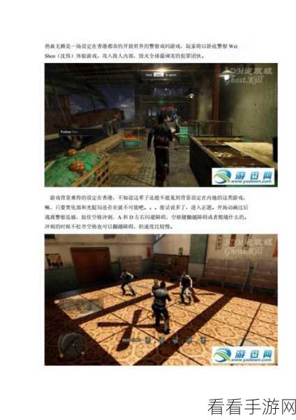 热血无赖秘籍代码全揭秘，助你称霸游戏世界！