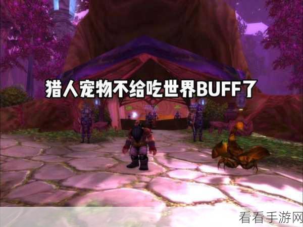 魔兽世界探索赛季，猎人术士宠物卡 BUFF 秘籍大公开