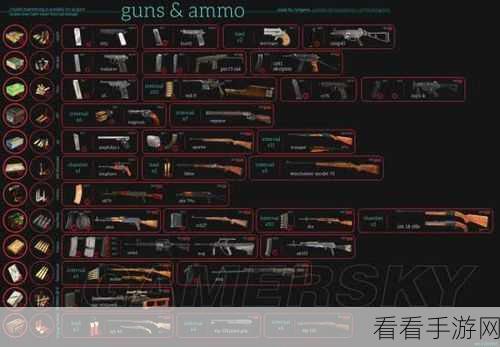 DayZ 游戏畅玩必备，电脑配置深度解析