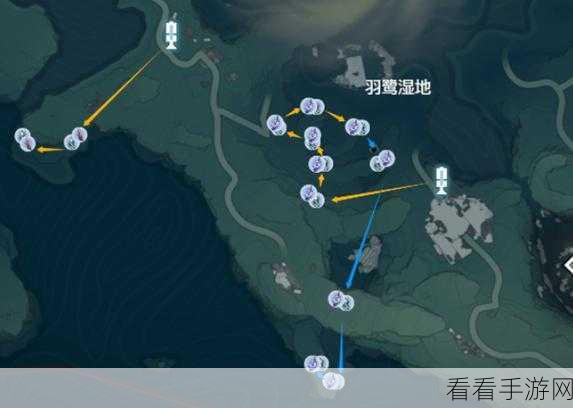 鸣潮植珀采集秘籍大公开